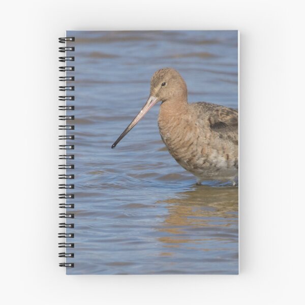 Item preview, Black Tailed Godwit designed and sold by LaurenTucker.