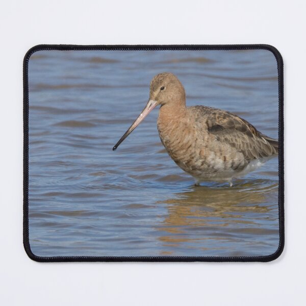 Item preview, Black Tailed Godwit designed and sold by LaurenTucker.
