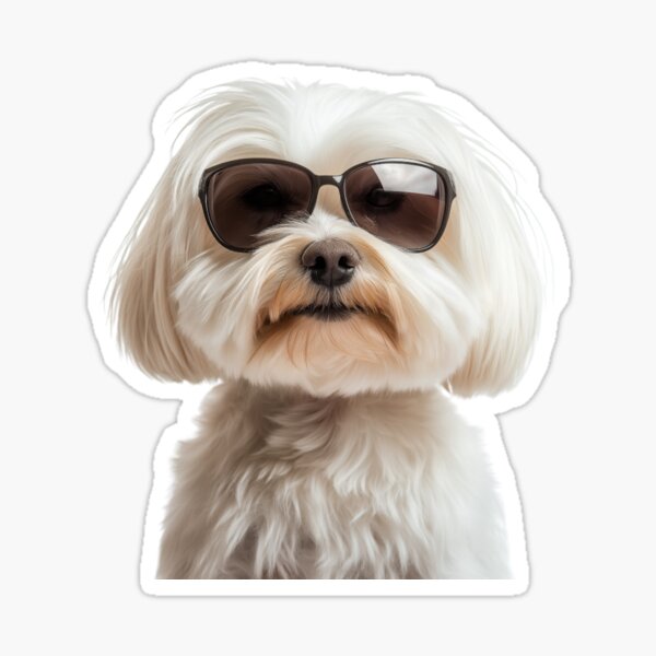Item preview, Funny cool Coton de Tulear Dog wearing sunglasses designed and sold by LazyOwlStore.