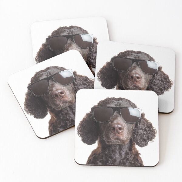 Item preview, Funny cool Curly coated Retriever Dog wearing sunglasses designed and sold by LazyOwlStore.