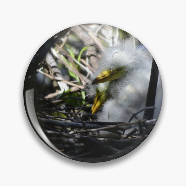 Item preview, Unedited Snowy Egret Nestlings designed and sold by MercerImages.