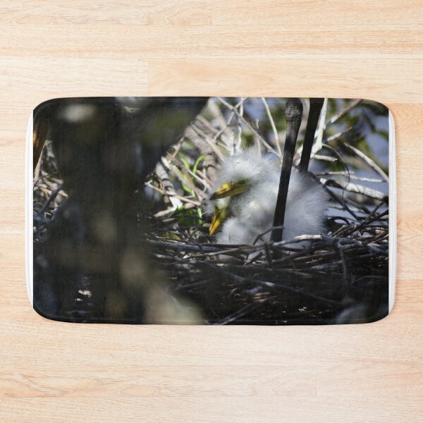 Item preview, Unedited Snowy Egret Nestlings designed and sold by MercerImages.