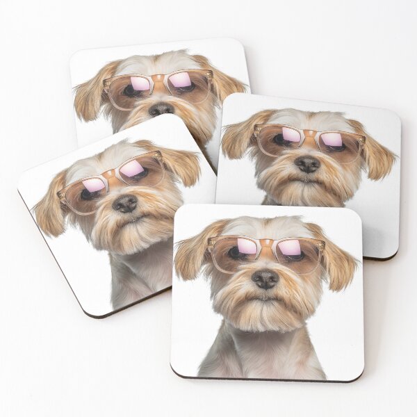 Item preview, Funny cool Dandie Dinmont Terrier Dog wearing sunglasses designed and sold by LazyOwlStore.