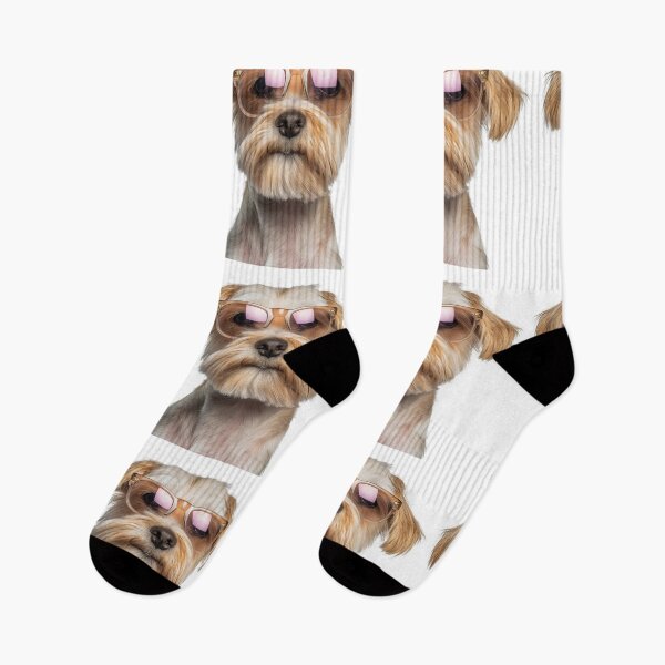 Item preview, Funny cool Dandie Dinmont Terrier Dog wearing sunglasses designed and sold by LazyOwlStore.