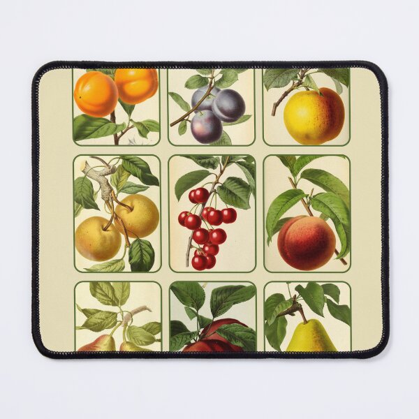 Item preview, Antique Mixed Fruit Collage designed and sold by IrisAndIvy.