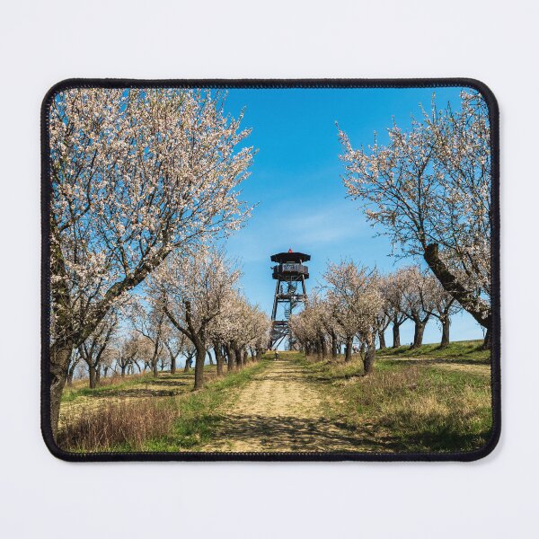 Item preview, Almond tree orchard above Hustopece designed and sold by honza28683.