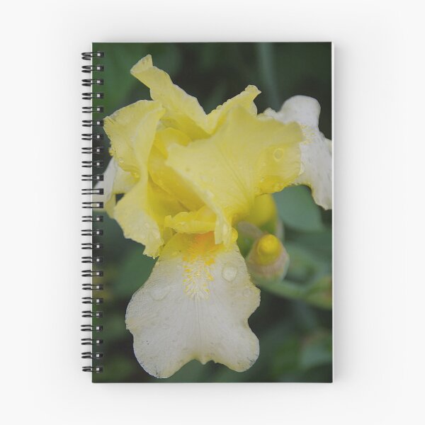 Item preview, Yellow And White Iris Beauty designed and sold by lezvee.