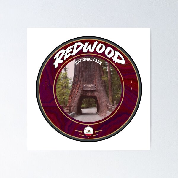 Item preview, Redwood National Park Chandelier Tree designed and sold by studioss76.