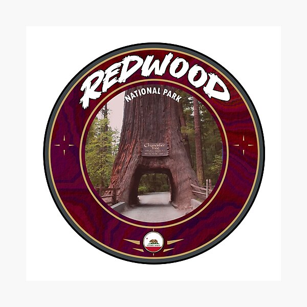 Item preview, Redwood National Park Chandelier Tree designed and sold by studioss76.