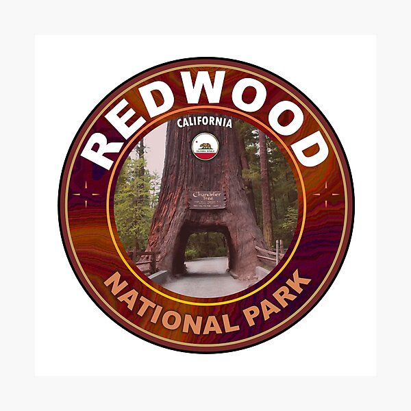 Item preview, Redwood National Park designed and sold by studioss76.
