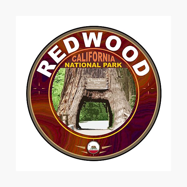 Item preview, Redwood National Park California designed and sold by studioss76.