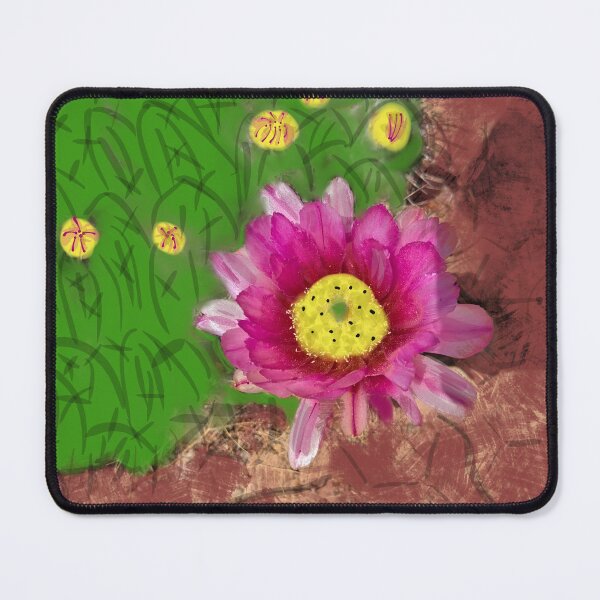 Item preview, Cactus flower in bloom designed and sold by Fatboy0699.