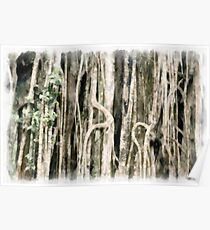 Rainforest detail Poster