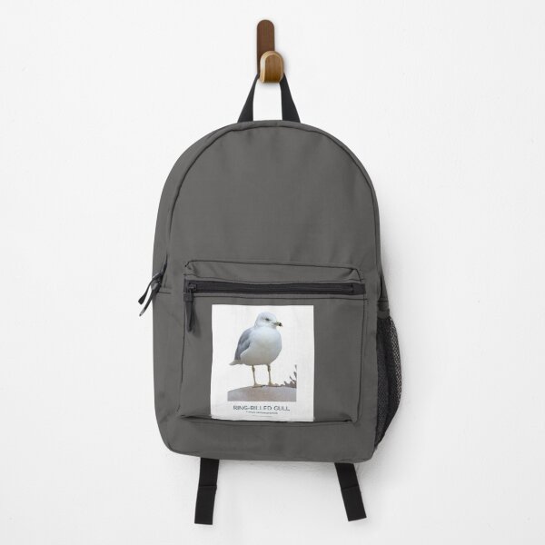 Item preview, Ring-billed gull perched on a stone/wildlife/Bird/Nature designed and sold by VeenaNair23.