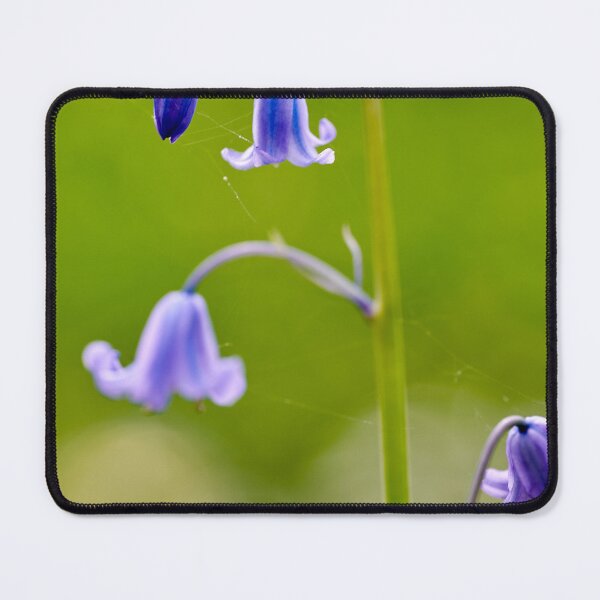 Item preview, Beautiful Spring Bluebells designed and sold by VnGphoto.
