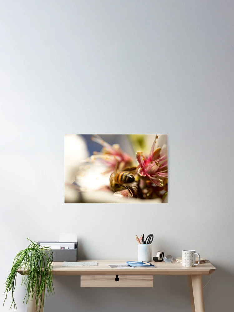 Thumbnail 2 of 3, Poster, Spring Time  designed and sold by EmField.