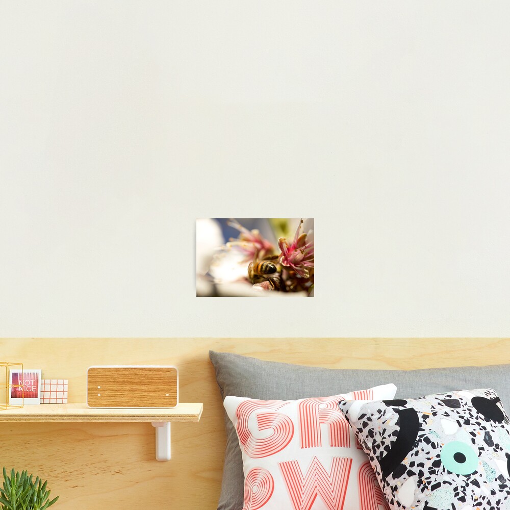 Item preview, Photographic Print designed and sold by EmField.