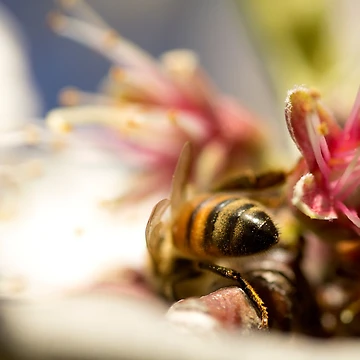 Artwork thumbnail, Spring Time by EmField