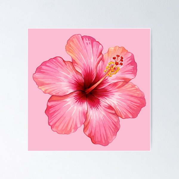 Aperçu de l'œuvre Hibiscus rose créée et vendue par svarupa.