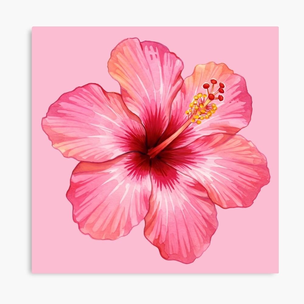 Pink Hibiscus  Poster