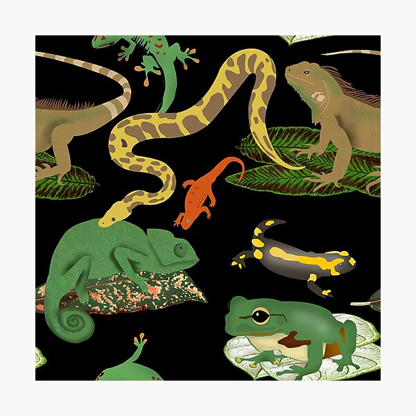 Item preview, Reptile, Lizards & Amphibians Pattern designed and sold by idovedesign.