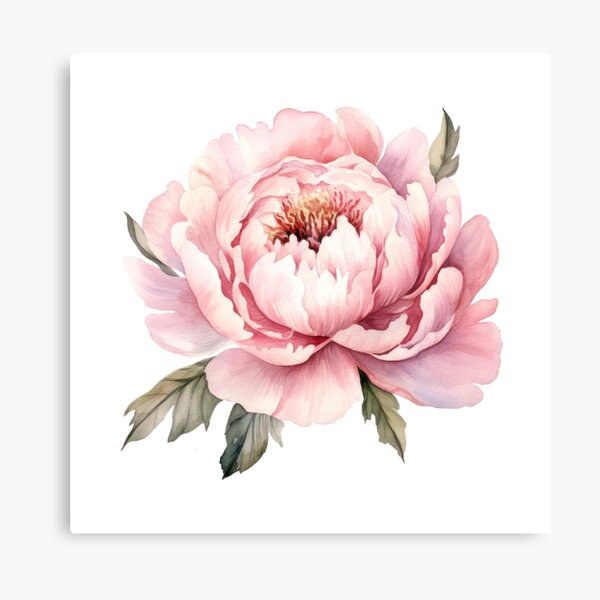 Item preview, watercolour pink peony flower designed and sold by LivsPlantHouse.