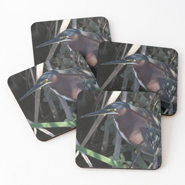 Item preview, Green Heron designed and sold by EnglandEcology.