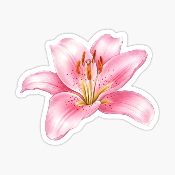 Artikel-Vorschau von Rosa Lilienblüte, designt und verkauft von svarupa.