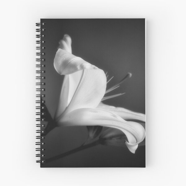 Item preview, Be Still designed and sold by Paul Finnegan.