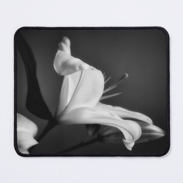 Item preview, Be Still designed and sold by Paul Finnegan.