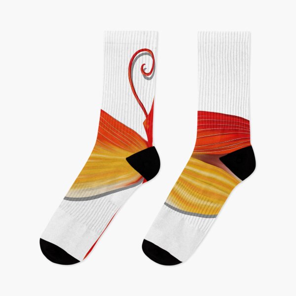Item preview, Fire Beetle 2 designed and sold by lezell.