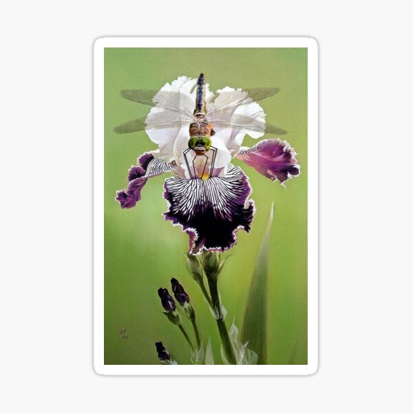 Item preview, Dragon Fly designed and sold by billfox256.