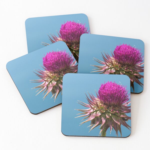 Item preview, Magenta thistle in full bloom designed and sold by Eckart Mayer Photography.