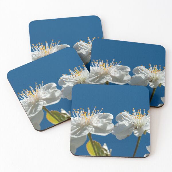 Item preview, Cherry blossoms up close against a blue sky designed and sold by Eckart Mayer Photography.