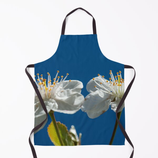 Item preview, Cherry blossoms up close against a blue sky designed and sold by Eckart Mayer Photography.