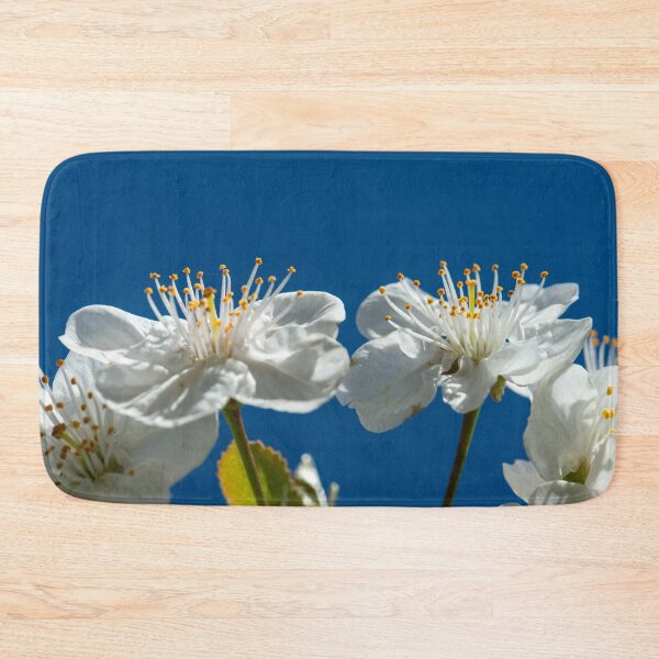 Item preview, Cherry blossoms up close against a blue sky designed and sold by Eckart Mayer Photography.