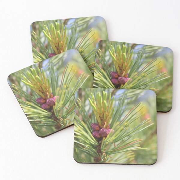 Item preview, Coniferous tree branch with cones designed and sold by The Ink Nest..