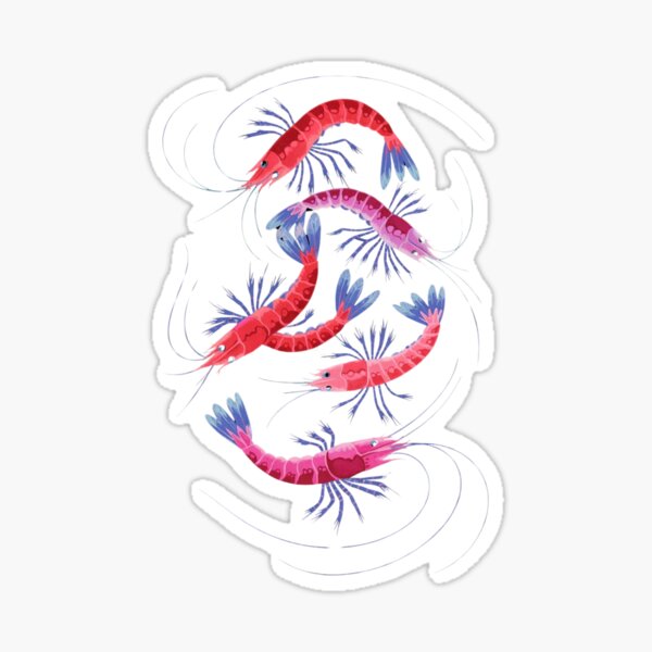 Item preview, Fairy Shrimp designed and sold by MichalWeider.