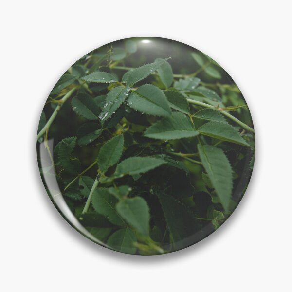 Aperçu de l'œuvre Gouttes de pluie dans la forêt créée et vendue par Mage Elise.