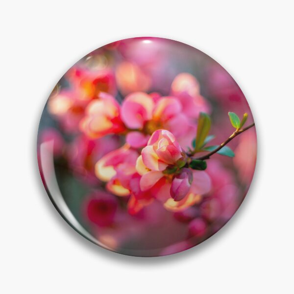 Item preview, The Japonе quince tree blooming  designed and sold by JoyLineDesigns.