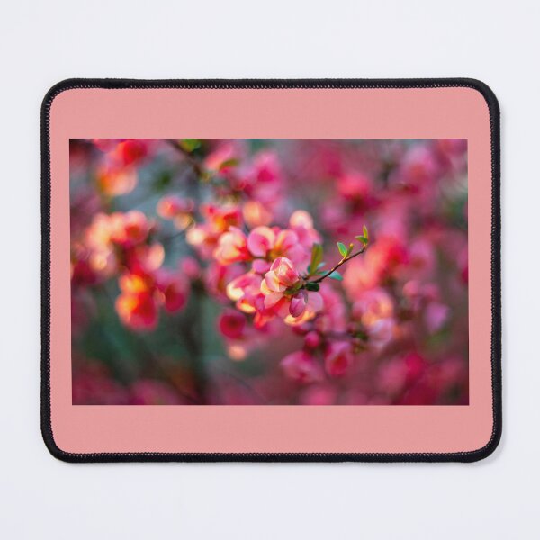 Item preview, The Japonе quince tree blooming designed and sold by JoyLineDesigns.