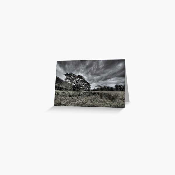 Damp & Dank Morning on the way to St. Albans Greeting Card