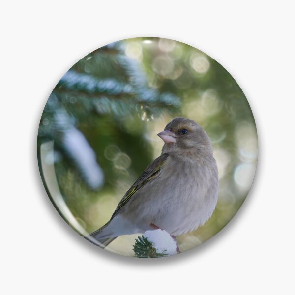 Item preview, All the greens. Greenfinch designed and sold by Jouko Lehto Photography.