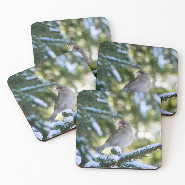 Item preview, All the greens. Greenfinch designed and sold by Jouko Lehto Photography.