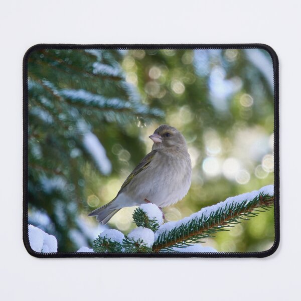 Item preview, All the greens. Greenfinch designed and sold by Jouko Lehto Photography.
