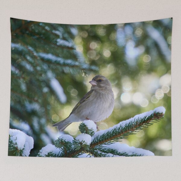 Item preview, All the greens. Greenfinch designed and sold by Jouko Lehto Photography.