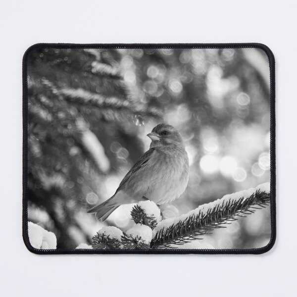 Item preview, All the greens. Greenfinch bw designed and sold by Jouko Lehto Photography.