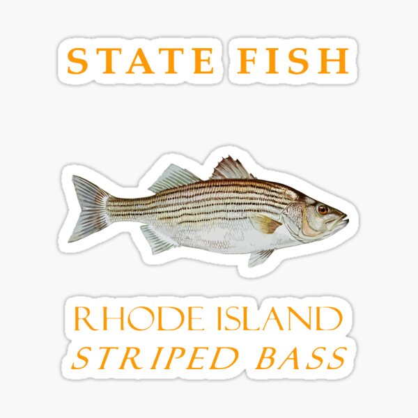 Vista previa del artículo con la obra «Territorio de Rhode Island Pesca La lubina rayada», diseñado y vendido por taiche.