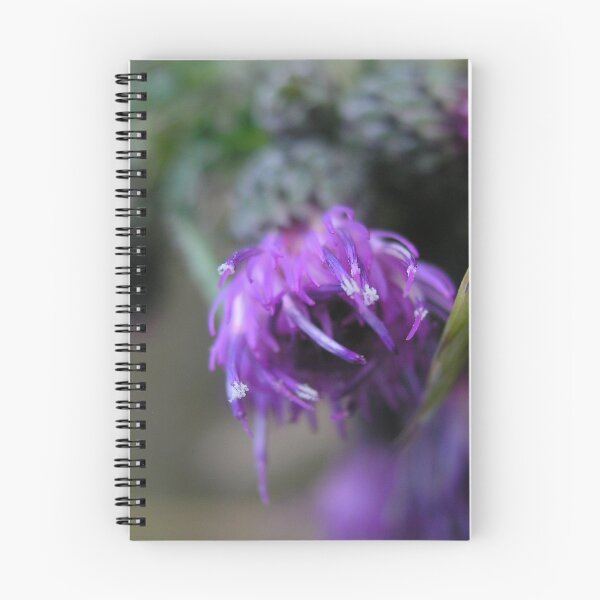 Item preview, Photo close up thistle designed and sold by PM-Artistic.
