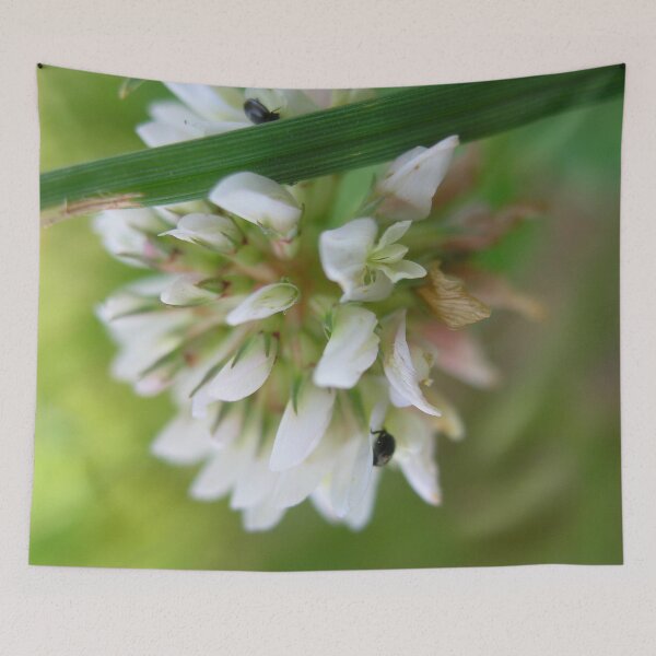 Item preview, Photo close up clover designed and sold by PM-Artistic.